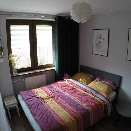 Апартаменты Apartament Bieszczady Устшики-Дольне Экстерьер фото