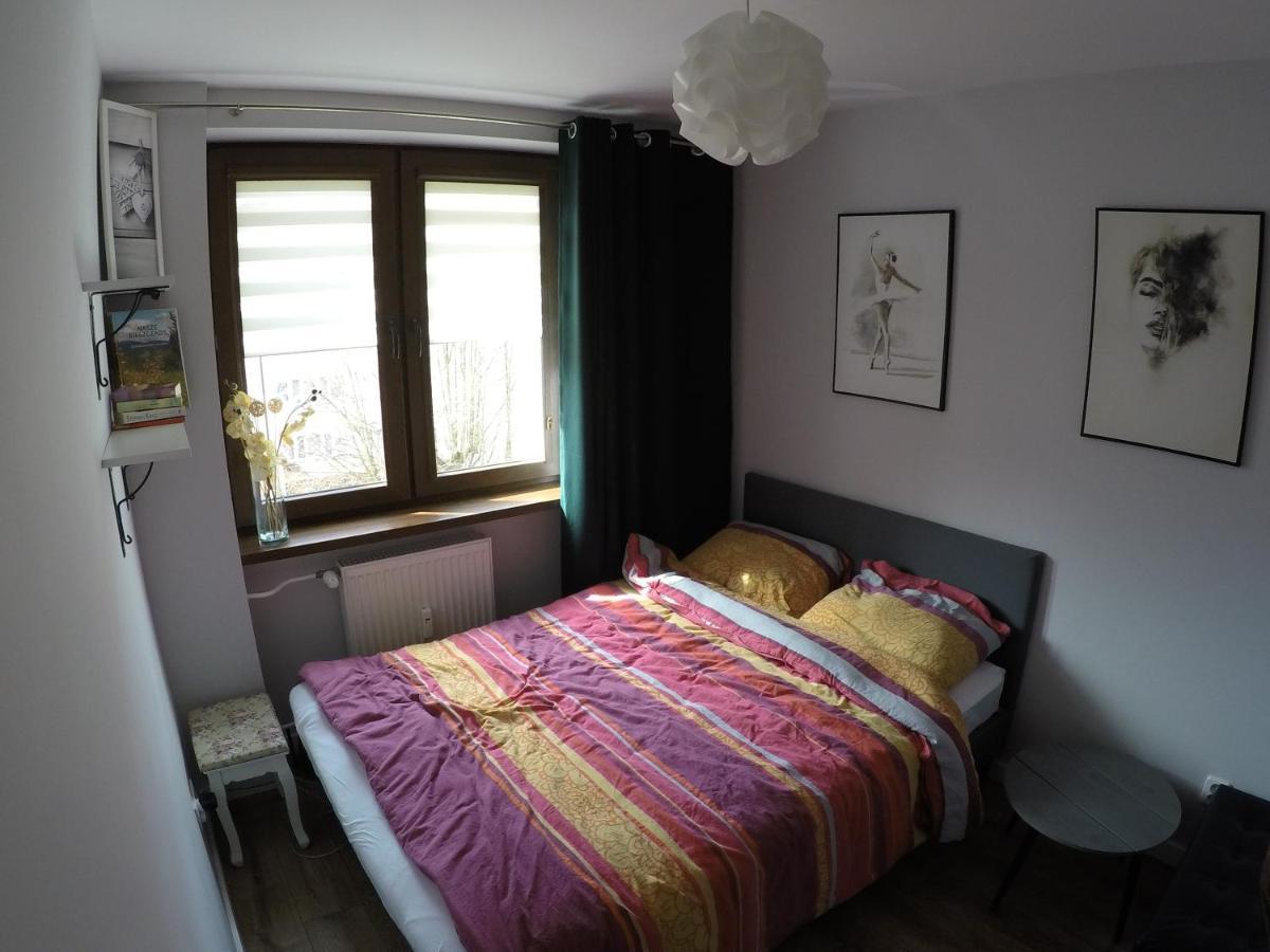 Апартаменты Apartament Bieszczady Устшики-Дольне Экстерьер фото